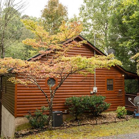 Willa Mountain Seclusion Sevierville Zewnętrze zdjęcie